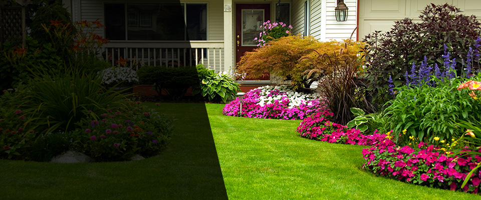 South Pasadena Landscapers