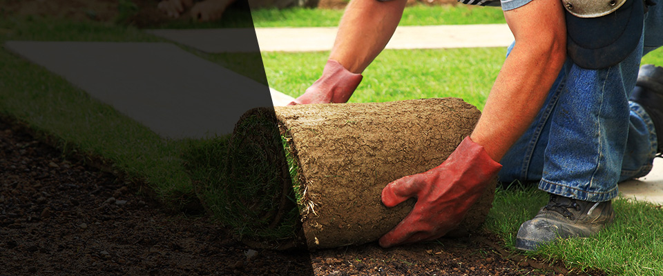 South Pasadena Landscapers